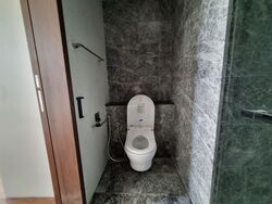Parksuites (D10), Apartment #401142641